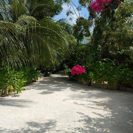 Sunrise Inn Thoddoo-Atoll Exterior foto
