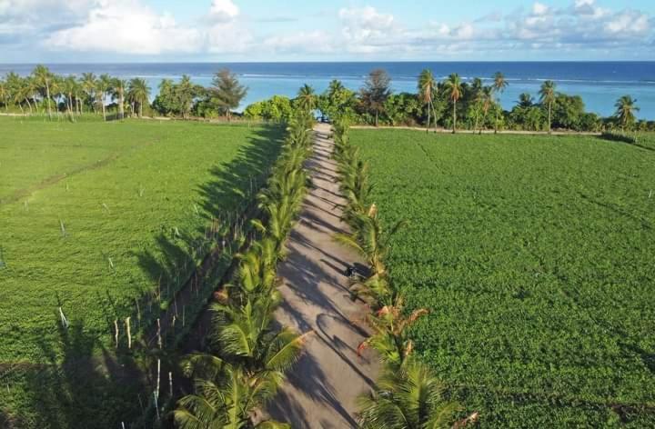 Sunrise Inn Thoddoo-Atoll Exterior foto