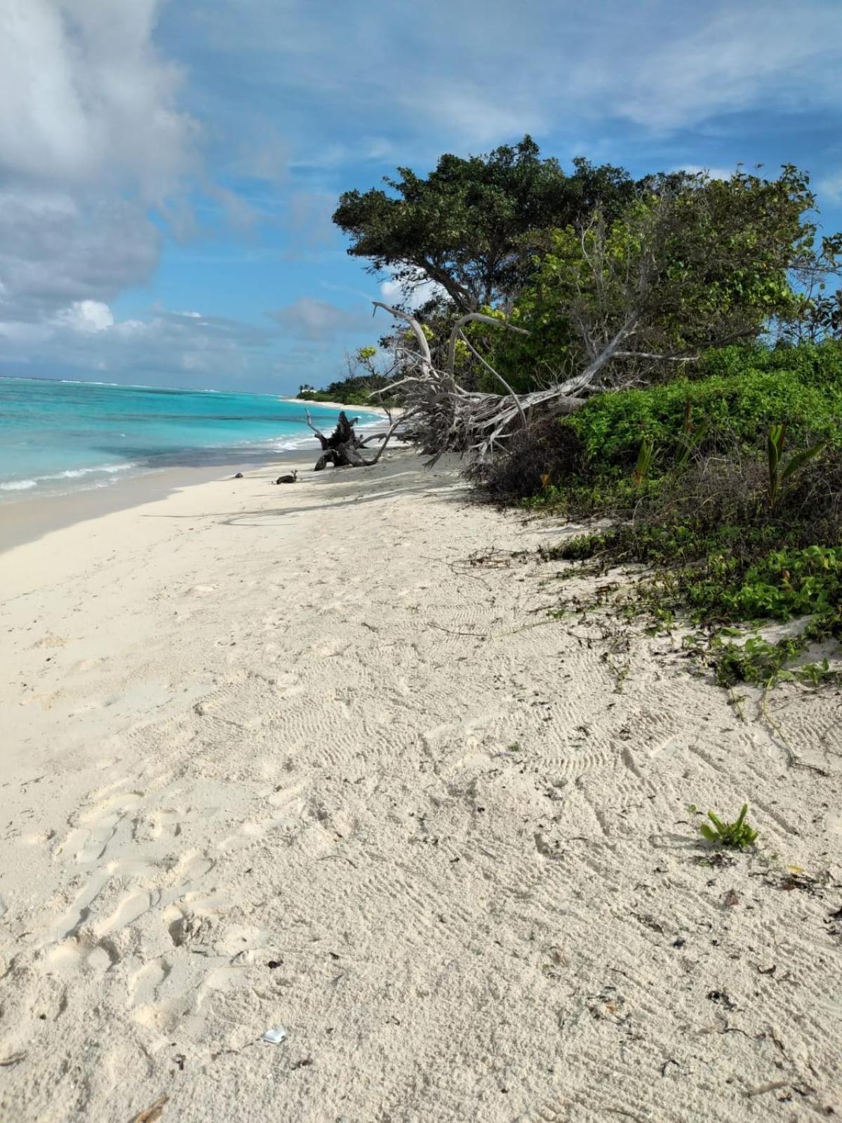 Sunrise Inn Thoddoo-Atoll Exterior foto
