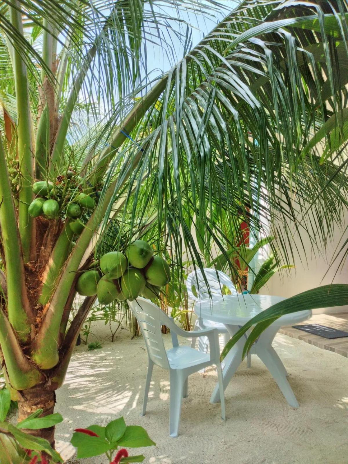 Sunrise Inn Thoddoo-Atoll Exterior foto