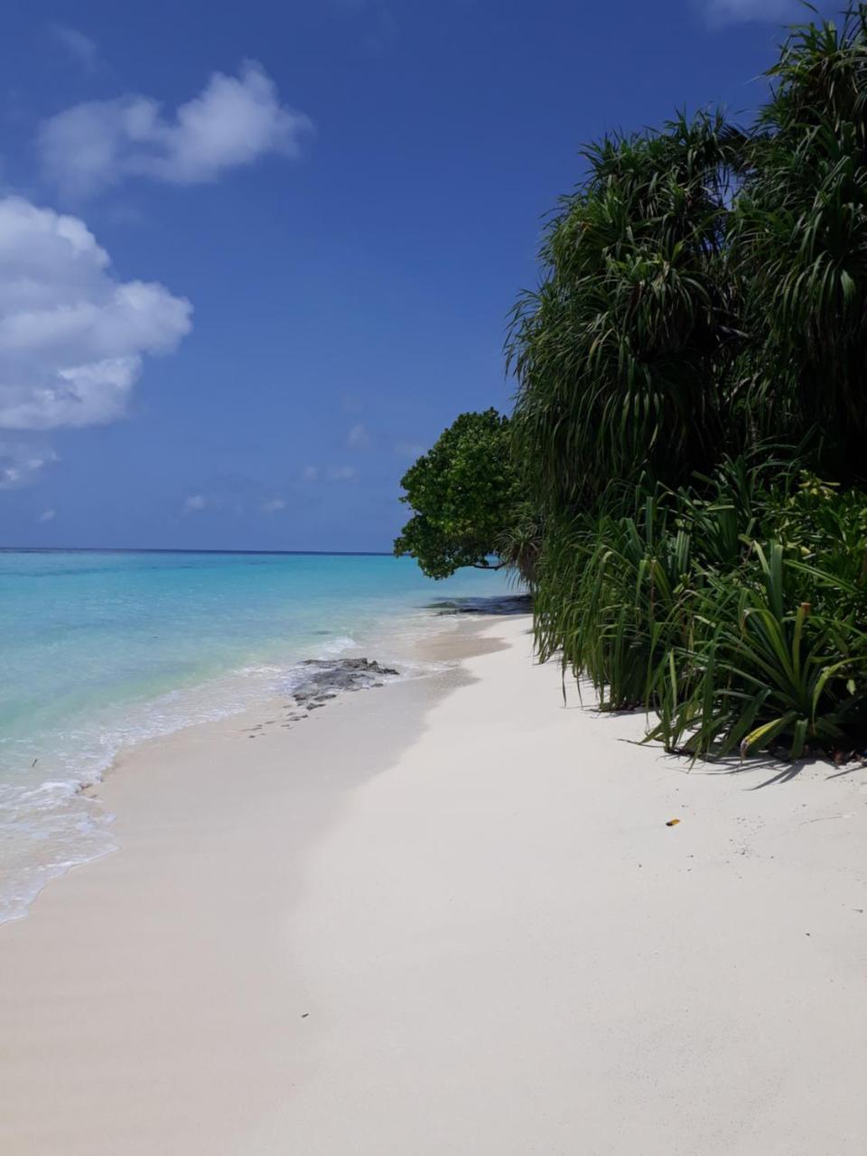 Sunrise Inn Thoddoo-Atoll Exterior foto